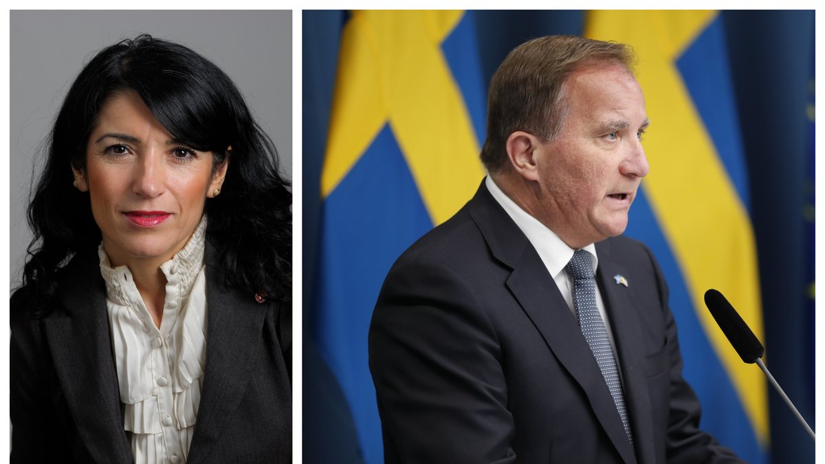 Den politiska vilden Amineh Kakabaveh säger att hon kan komma att rösta nej till Stefan Löfven (S) i en eventuell statsministeromröstning.